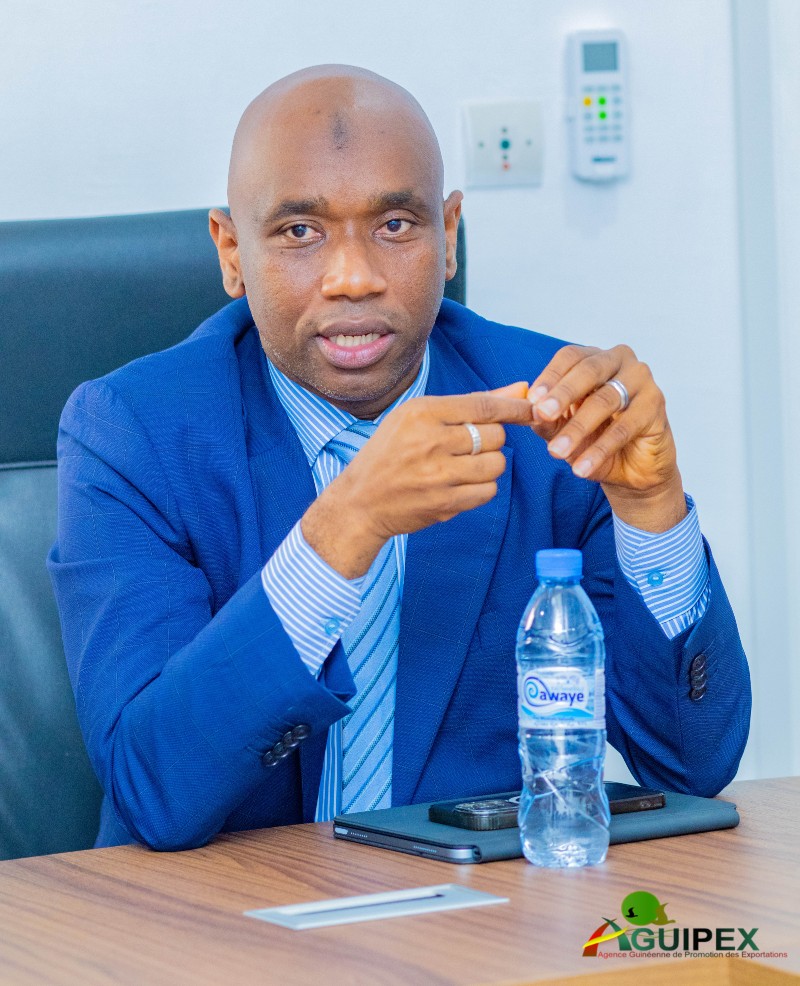 M. Amadou Daff BALDE